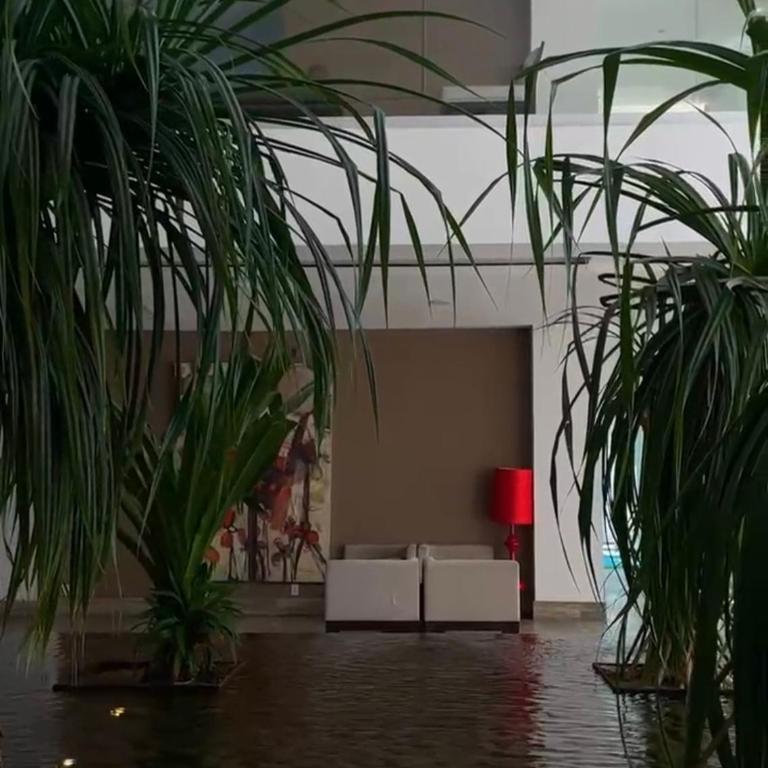 Disfruta a lo grande en la Isla Residences Acapulco - Apartamento de 2 dormitorios - 23