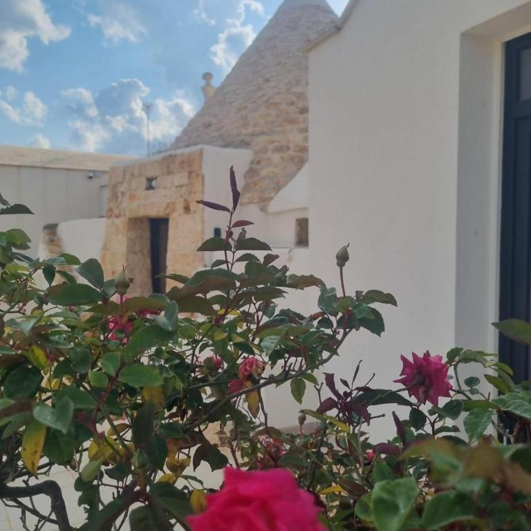 Trullo Morello - Full Experience - Villa Deluxe - 25