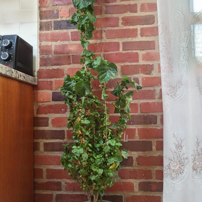 Cabaña Villa Monluamel Sachica - Three-Bedroom Home - 16