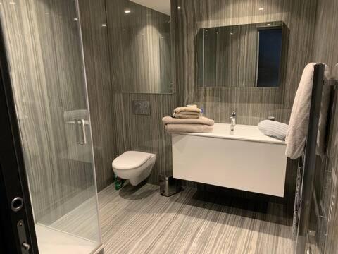 Amazing appartements on Champs-Elysées - Three-Bedroom Apartment with View - 17