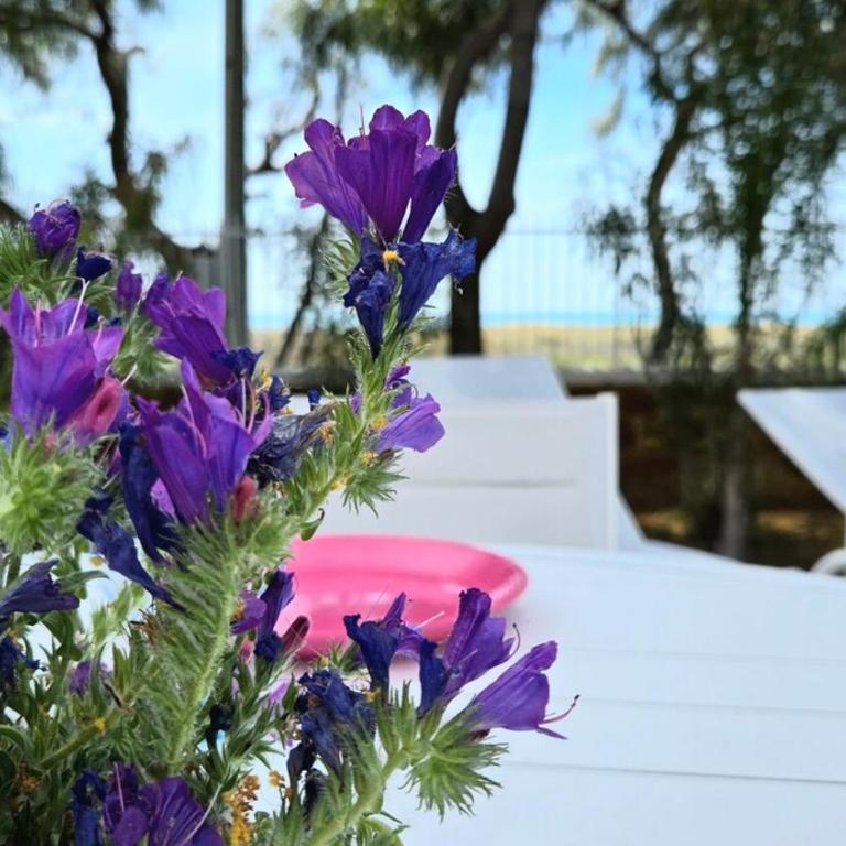 The House on the Seashore - Villa con 2 Camere da Letto - 13