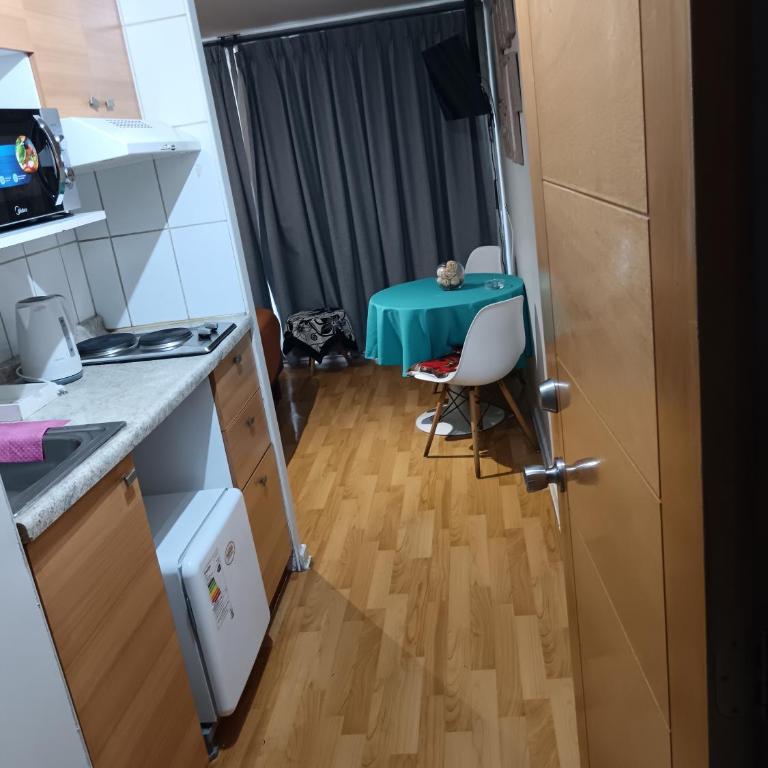 Arriendo diario tipo estudio - Apartamento de 1 dormitorio - 1