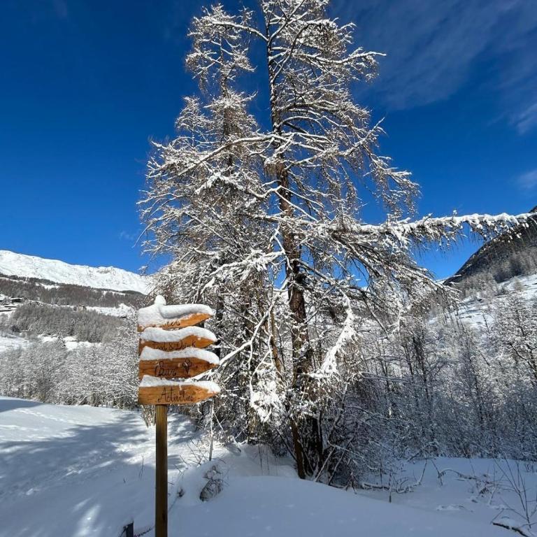 Grande Maison Du Coeur Champoluc Spa,Gym e Aree Relax - Two-Bedroom Apartment - 16