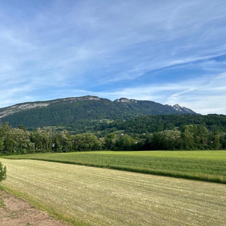 Villa Altitude 587 - Appartement 1 Chambre avec Balcon et Vue sur les Montagnes - 10