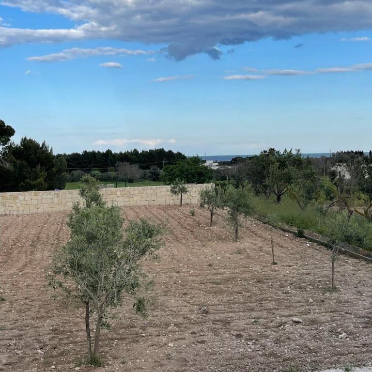 casa Maddalo - Casa Vacanze - 16