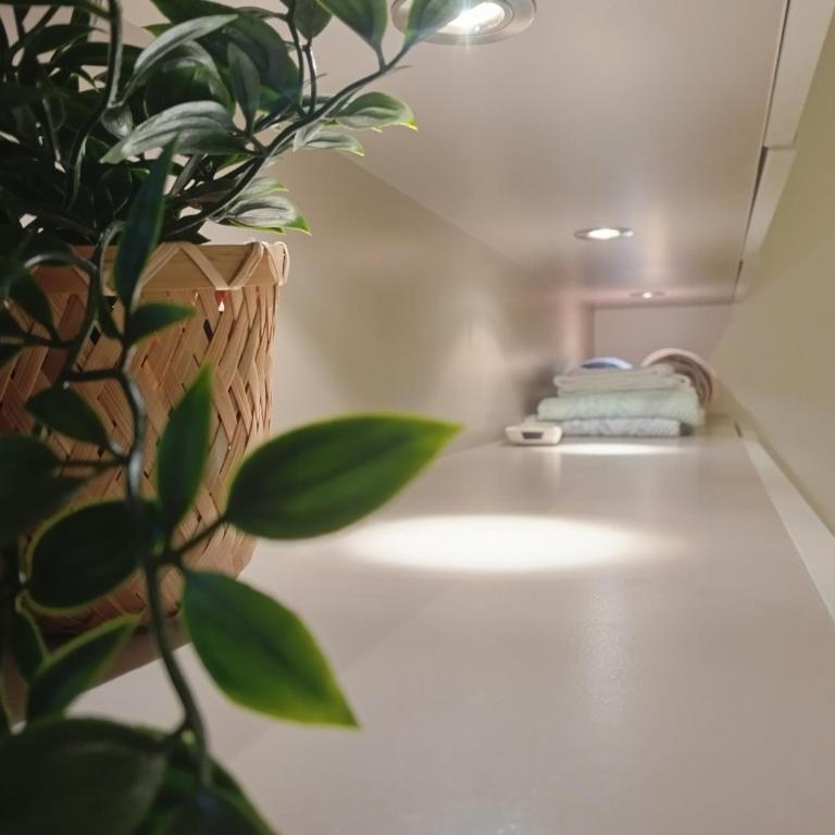 Appartement avec beaucoup de cachet central et calme - Appartement 2 Chambres - 44
