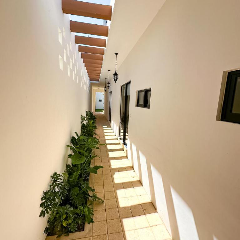 Casa Zazil - Five-Bedroom House - 33