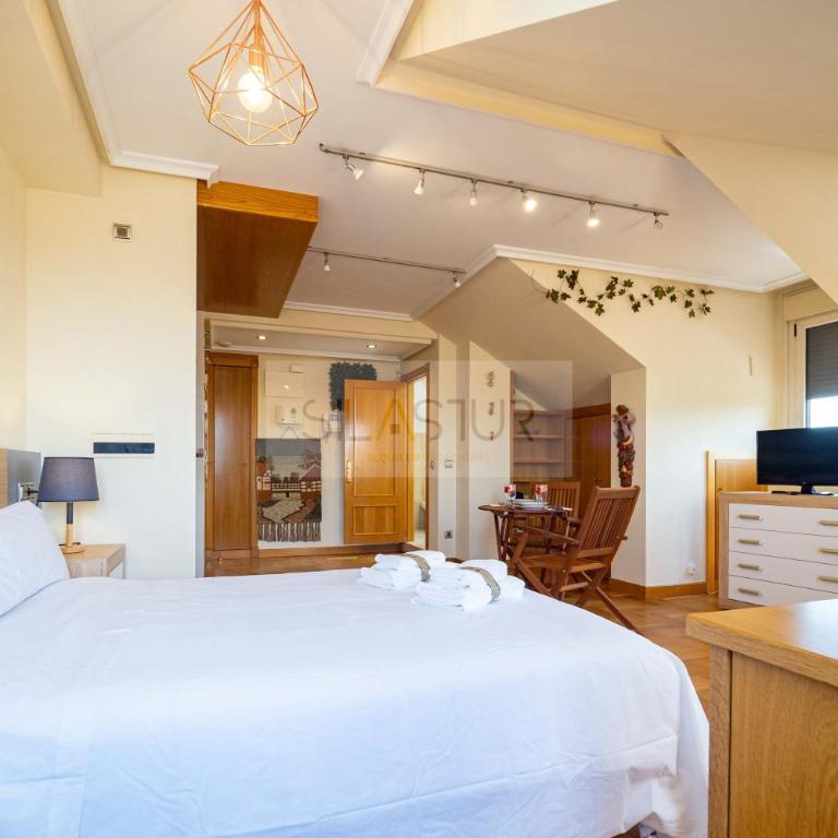 Estudio Parque Fluvial By Silastur - Apartamento Estudio - 11