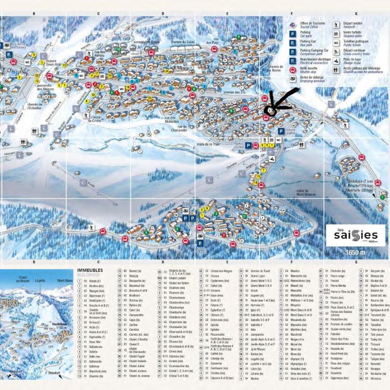 Studio lumineux station Les Saisies 100 M des pistes et ESF pour été comme hiver - Appartamento con 1 Camera da Letto - 12