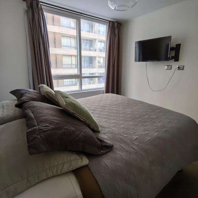 Carmen Marín - Apartamento de 2 dormitorios - 65