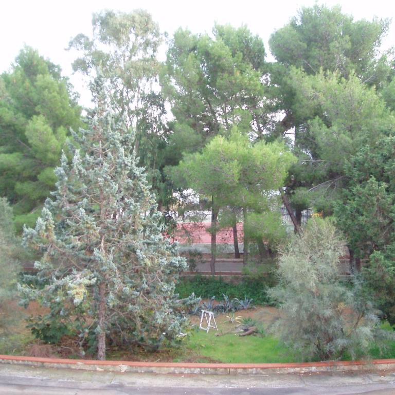 Casa Vacanze Jonio - Casa con 3 Camere da Letto - 12