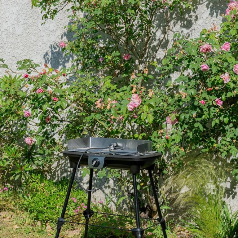 La Cabane de Manolo, near forest, 2-4 people - Maison 1 Chambre - 13