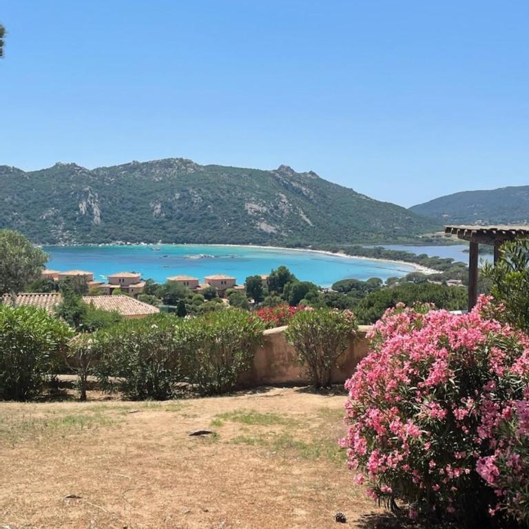 Apartment in Porto-Vecchio with pool - Appartamento con 2 Camere da Letto - 26