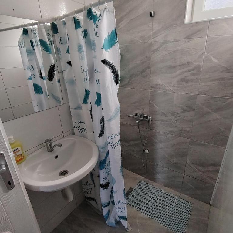 Apartmani Ruj - One-Bedroom Apartment with Garden View - 2