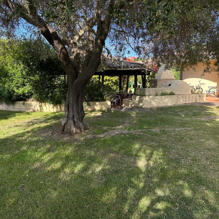 Villa Degli Olivi - Casa con 5 Camere da Letto - 28