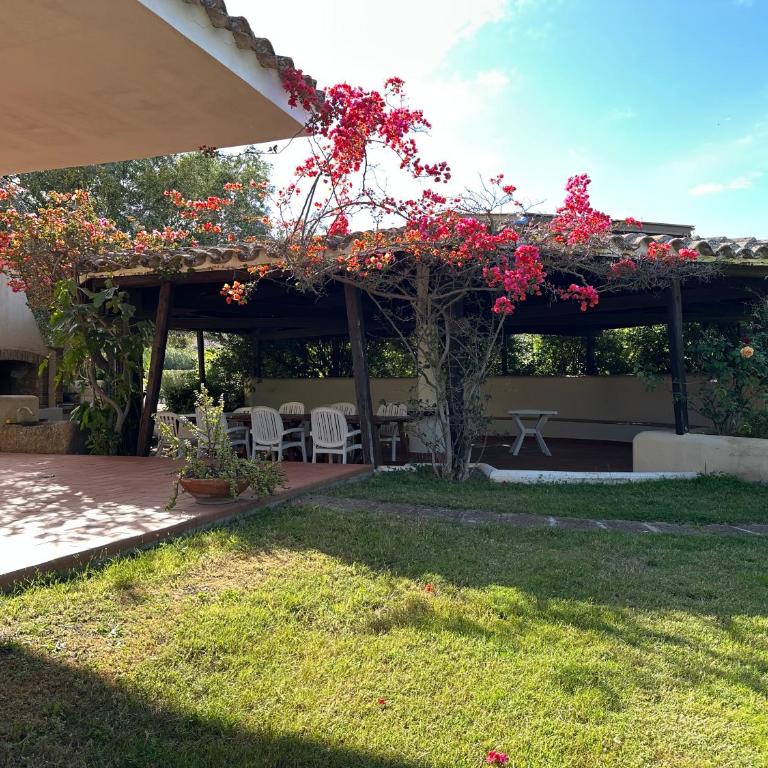Villa Degli Olivi - Casa con 5 Camere da Letto - 32