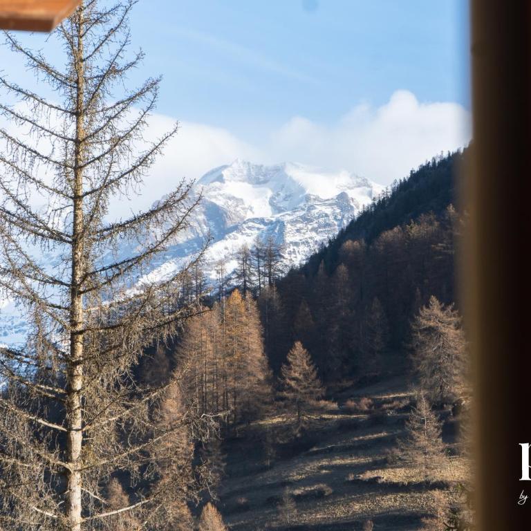 Maison del Bosco - Poluc Apartments bilocale - Appartamento con 1 Camera da Letto - 7