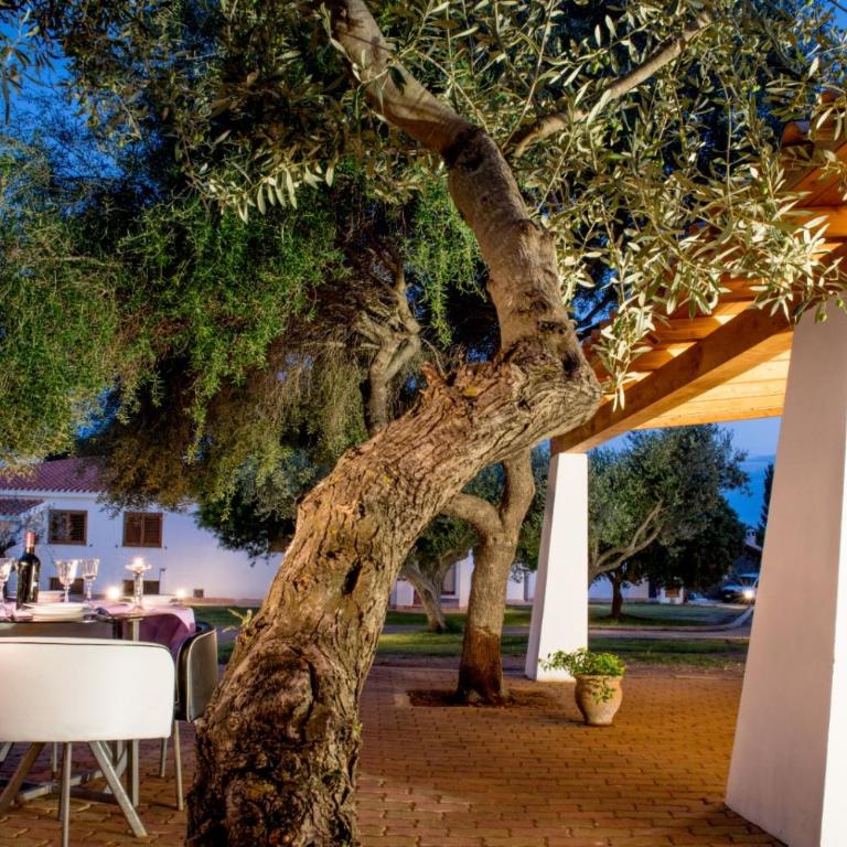 Orosei Summer Holidays - Cala del Turco green house - Casa con 2 Camere da Letto - 9