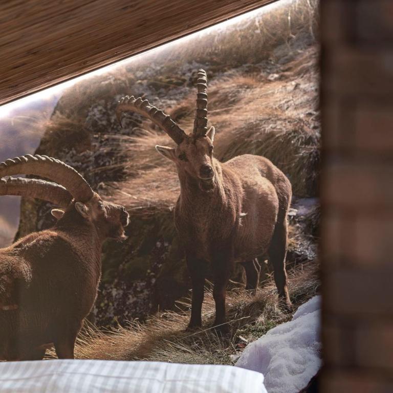 Chalet LAUDEGG - Luxury Chalet with Private Spa - Maison de Vacances 5 Chambres avec Sauna - 21