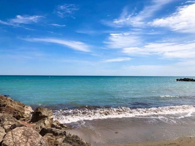 Un petit coin de Paradis - Frontignan Plage - Maison 1 Chambre - 8