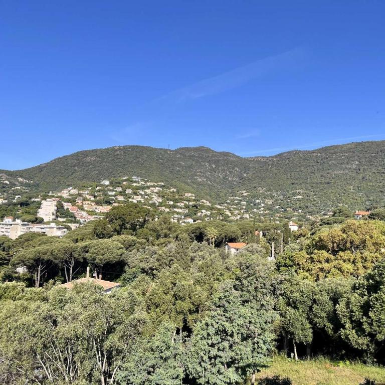 Appartement 4 pièces, 6 couchages avec climatisation à Cavalaire - FR-1-226B-239 - Apartment - 20