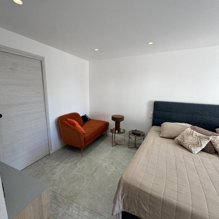Havre de Paix avec Villa Prestige Cannes , Piscine Chauffée, Alarme, Caméras Parking privée - Villa - 14