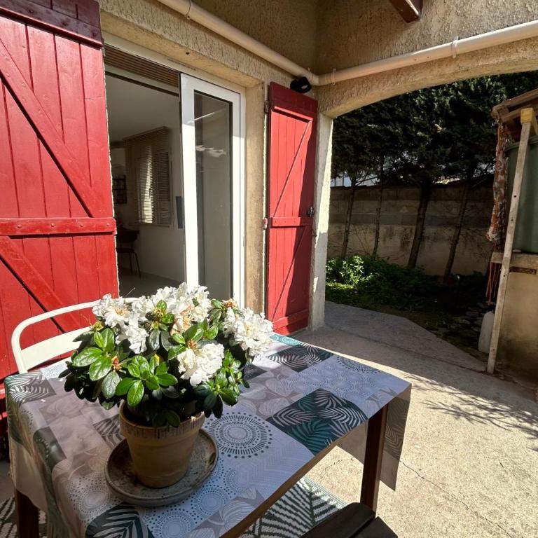 Le Maguelone- Studio with beach access air conditioning and exterior ! - Studio - 10