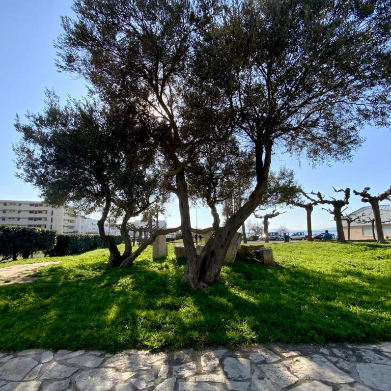 Le Maguelone- Studio with beach access air conditioning and exterior ! - Studio - 26