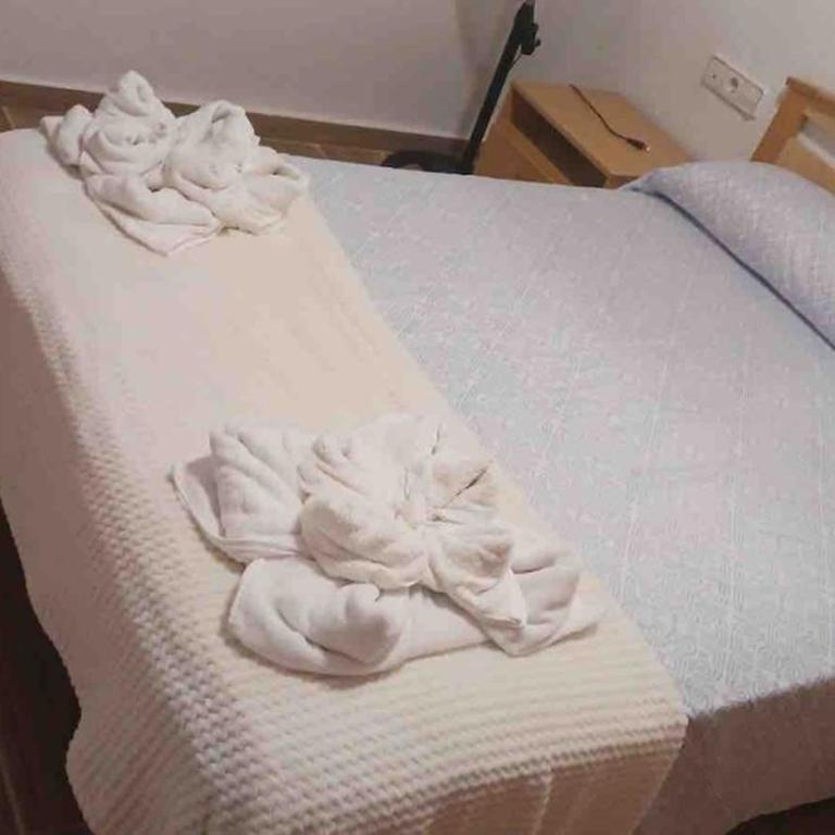 Beautiful apartment 8 minutes from the beach, with river views - Apartamento de 3 dormitorios - 25