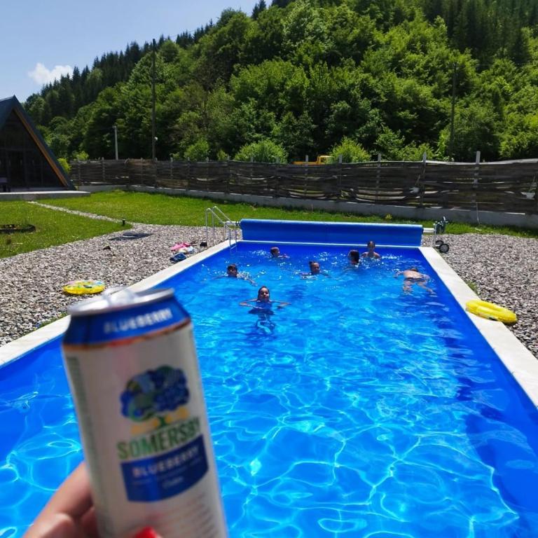 Jahorinski kutak - Luxury Villa with swimming pool - 7