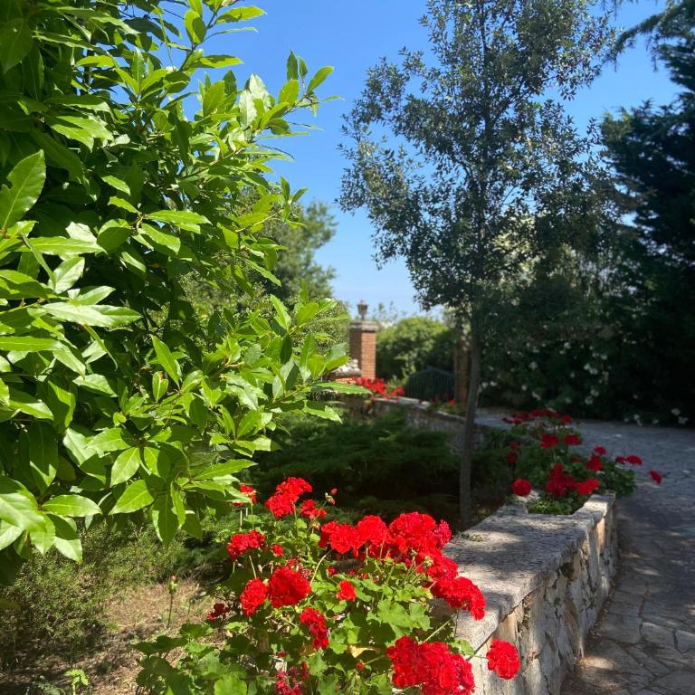 Villa Marzano - Three-Bedroom Villa - 3