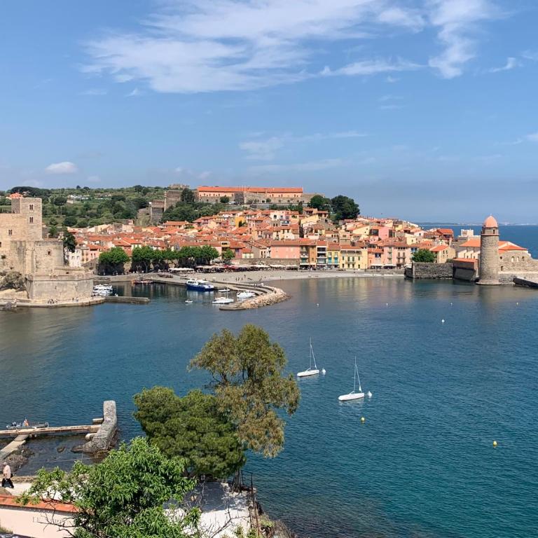 DUPLEX REP 10 COEUR de COLLIOURE - Appartement 3 Chambres - 7
