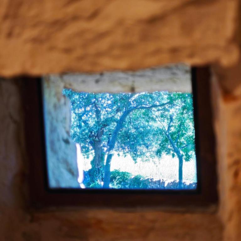 Il Trullo nel bosco - Villa con 3 Camere da Letto - 18