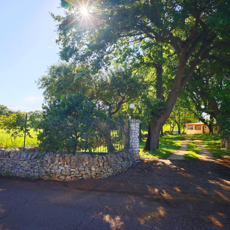 Il Trullo nel bosco - Villa con 3 Camere da Letto - 34
