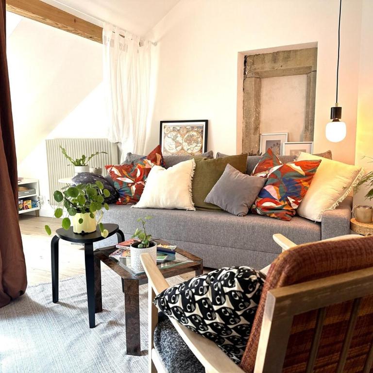 #LaMaisonVerte-calme en zone piétonne de Mulhouse - Apartamento de 1 dormitorio - 12