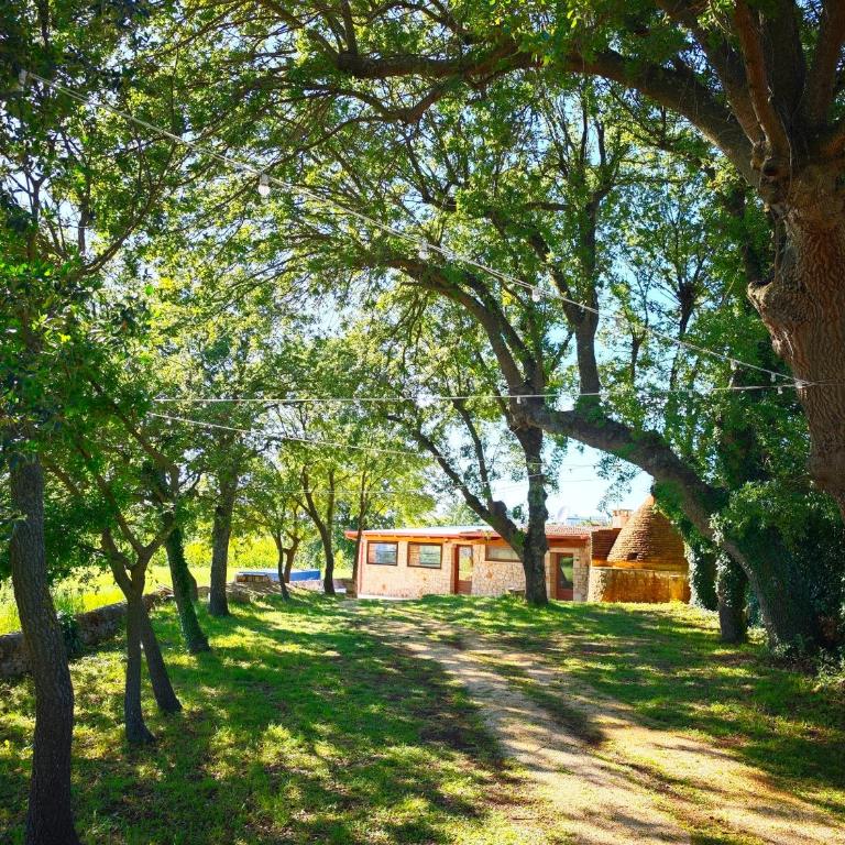 Il Trullo nel bosco - Villa con 3 Camere da Letto - 4