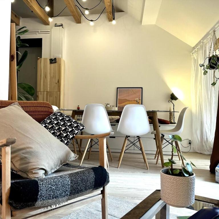 #LaMaisonVerte-calme en zone piétonne de Mulhouse - Apartamento de 1 dormitorio - 16