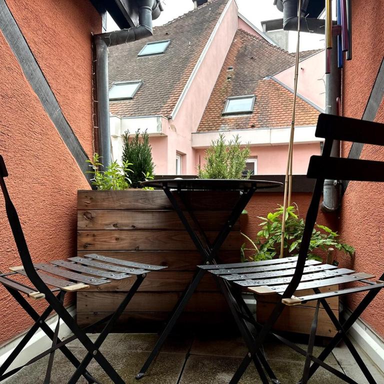 #LaMaisonVerte-calme en zone piétonne de Mulhouse - Apartamento de 1 dormitorio - 17