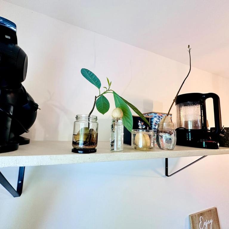 #LaMaisonVerte-calme en zone piétonne de Mulhouse - Apartamento de 1 dormitorio - 27