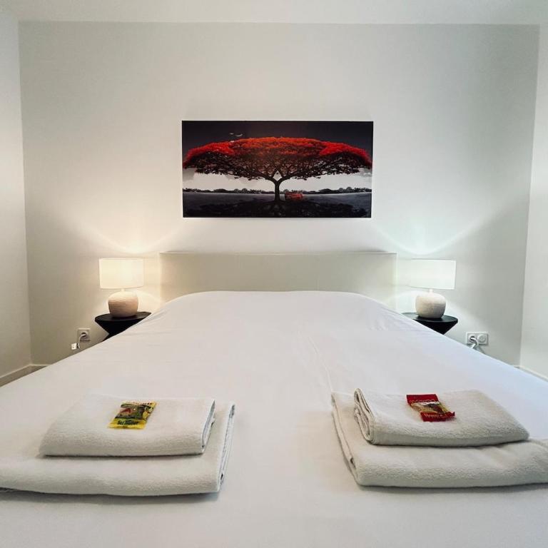 1 Clairmarais T2 cosy a 2 pas du centre-ville - Appartement 1 Chambre - 20