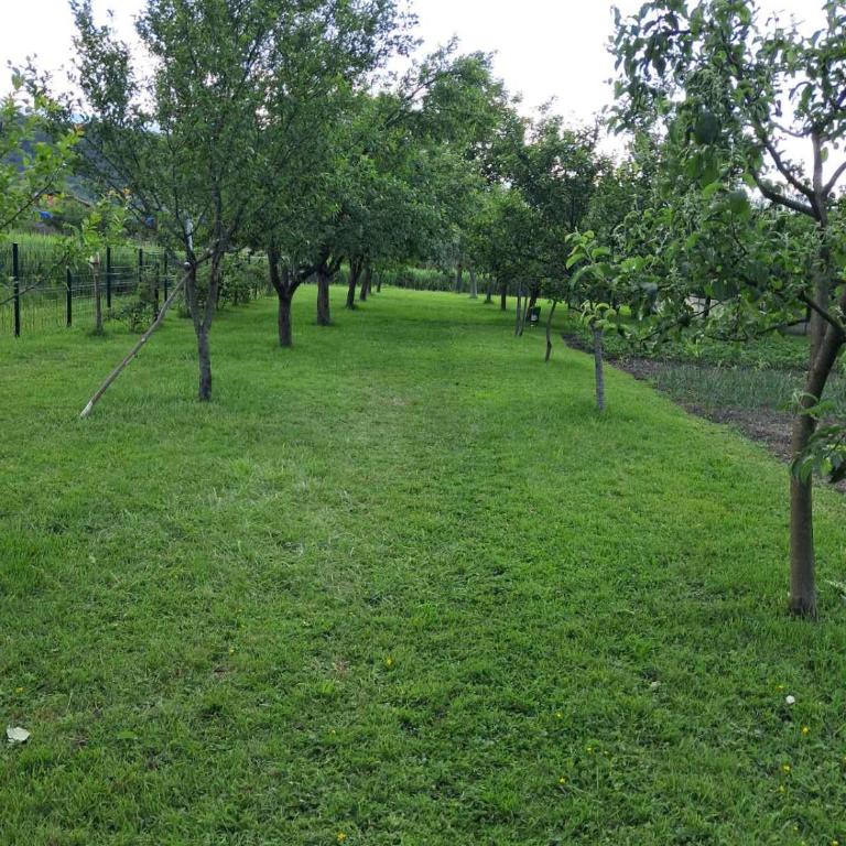 Kuca za odmor Amber - Three-Bedroom Townhouse - 2