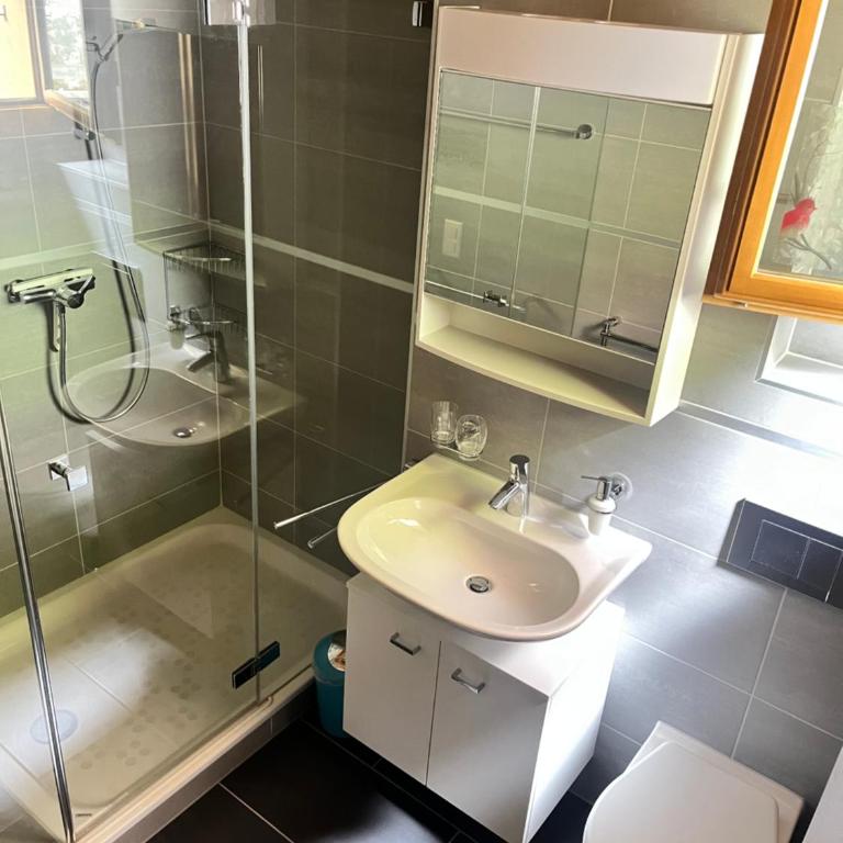 Bed & Breakfast in car-free Wengen - Hop in Nest BnB - Deluxe Zweibettzimmer - 7