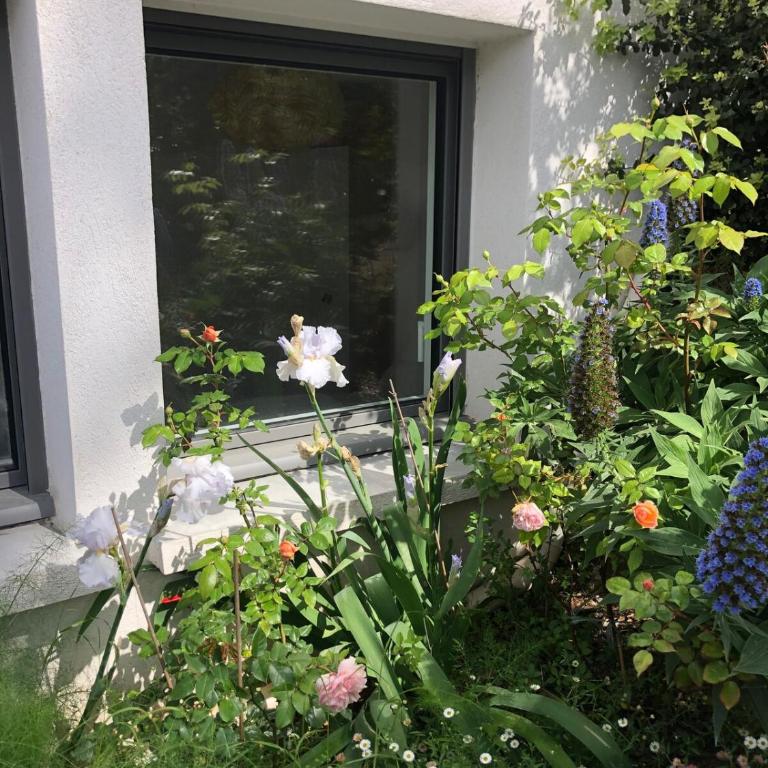 Joli F3 , 4 pers, villa Mahana , plein pied sur jardin , domaine privé criques et plages à pied - Apartment mit 2 Schlafzimmern - 17