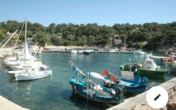 Joli F3 , 4 pers, villa Mahana , plein pied sur jardin , domaine privé criques et plages à pied - Apartment mit 2 Schlafzimmern - 31