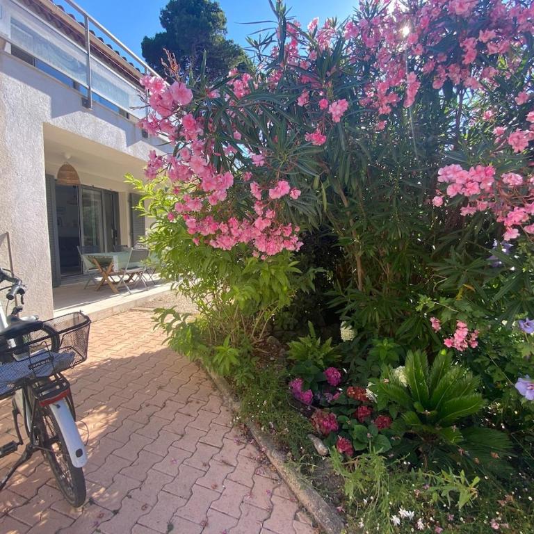 Joli F3 , 4 pers, villa Mahana , plein pied sur jardin , domaine privé criques et plages à pied - Apartment mit 2 Schlafzimmern - 19