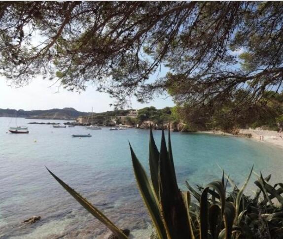 Joli F3 , 4 pers, villa Mahana , plein pied sur jardin , domaine privé criques et plages à pied - Apartment mit 2 Schlafzimmern - 29