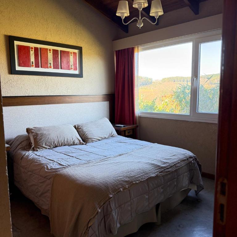 Las Calandrias de Tandil - Casa con 1 dormitorio - 4
