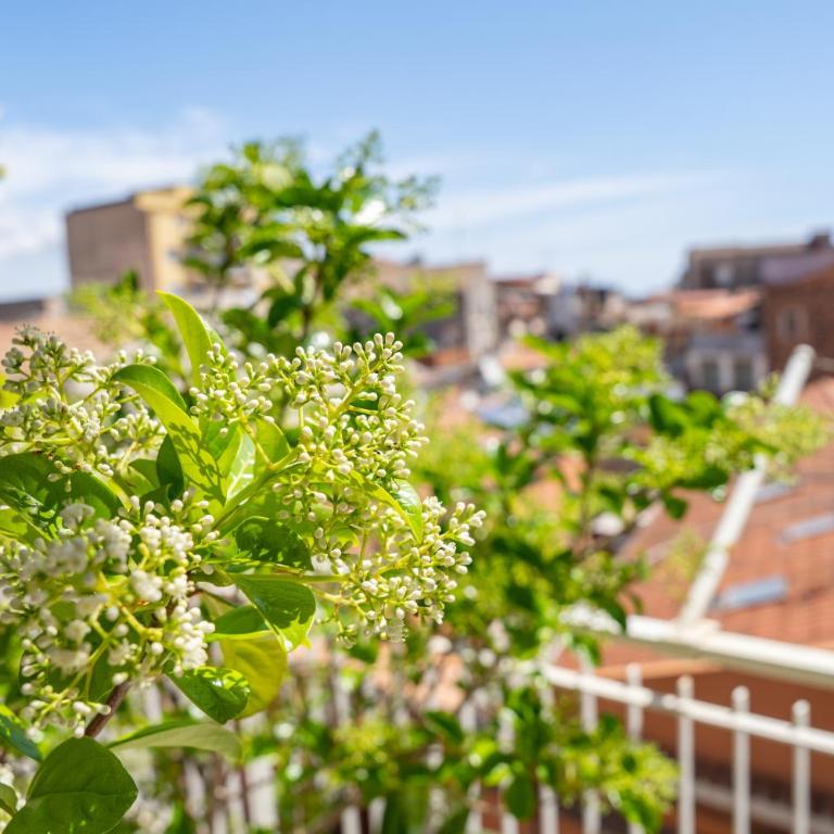 Catania Over Time - Tourist Rooms - Double Room with Private External Bathroom - 6