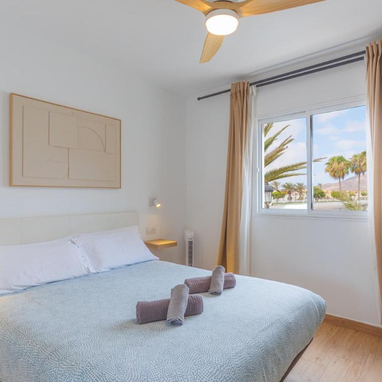 Passion Pool View & WiFi by iRent Fuerteventura Corralejo - Apartamento con vistas a la piscina - 11