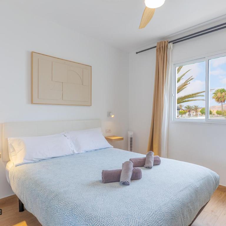 Passion Pool View & WiFi by iRent Fuerteventura Corralejo - Apartamento con vistas a la piscina - 12